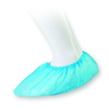 Zarys-Lausriidest-uehekordsed-sussid-BT-010-B